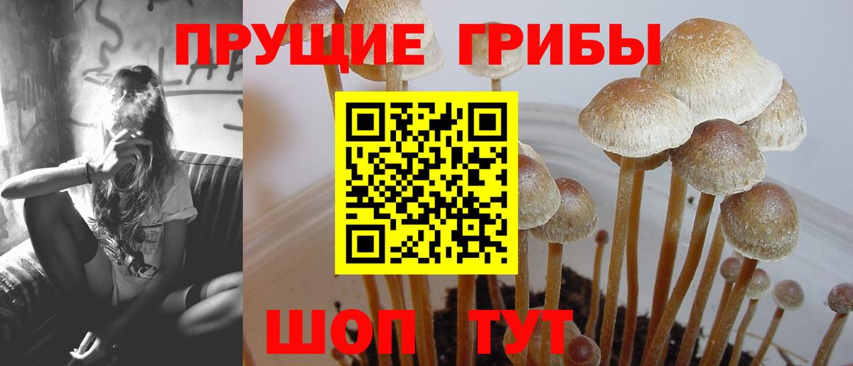 Псилоцибиновые грибы Psilocybine cubensis  Галлюциногенные грибы мухоморы  Вход с VPN  Ликино-Дулёво 